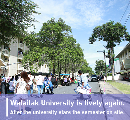Walailak University on site.
